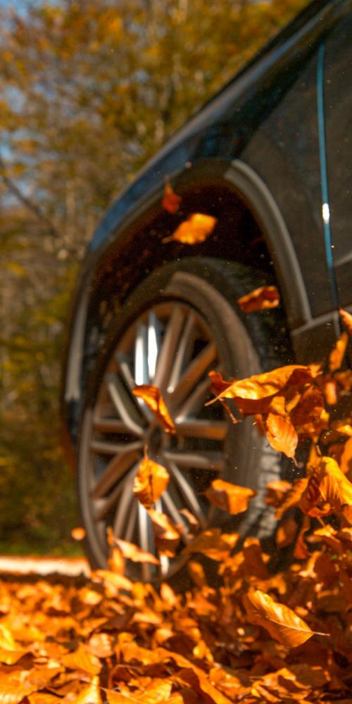 Laub auf der Straße, Auto fährt durch